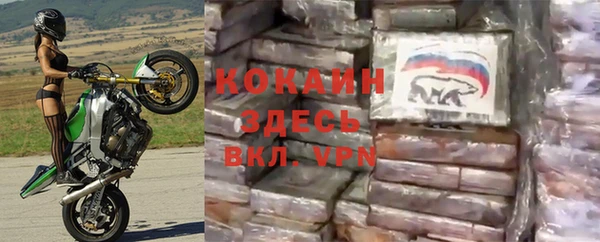амф Козловка