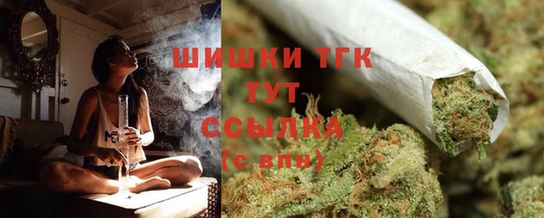 амф Козловка